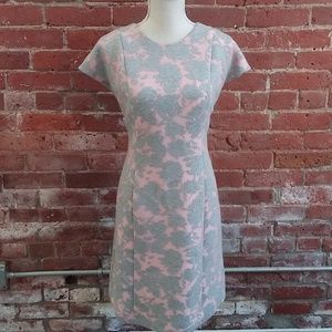 Anthropologie Mignon Doo Pink and Gray Floral Dress